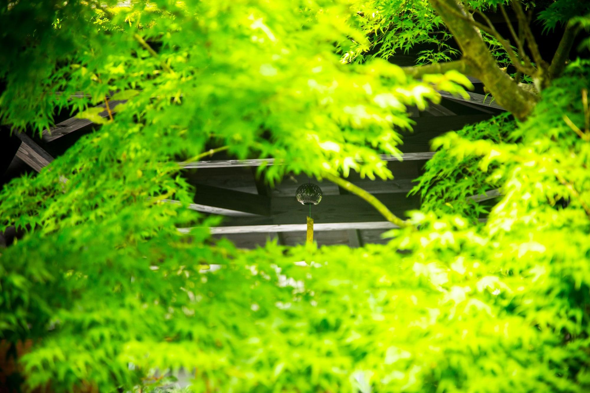 료칸 여명 旅館 黎明 Ryokan Reimei Jufu Kültér fotó